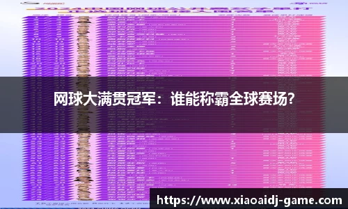 网球大满贯冠军：谁能称霸全球赛场？